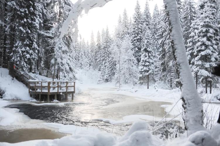 Карелия. Зимние впечатления и гостеприимство