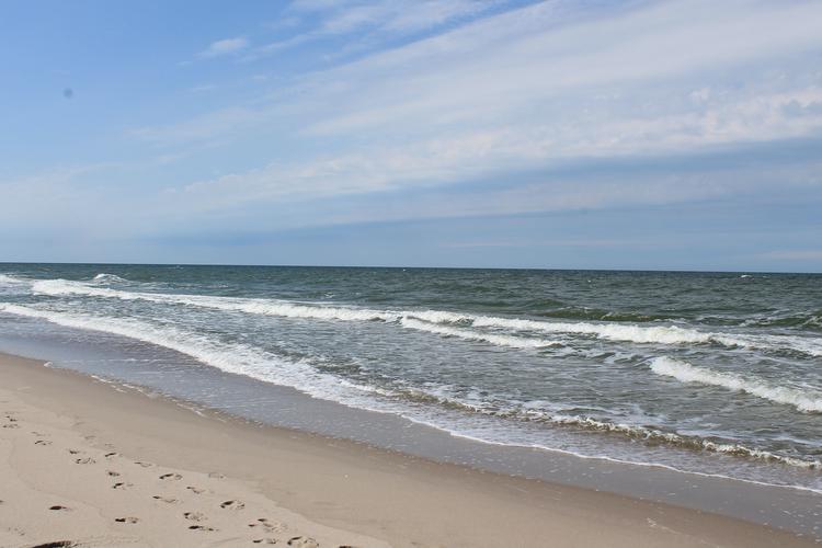 Вкус морского бриза и марципана