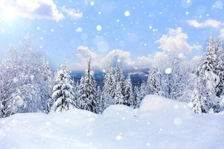 Автобус| Тайны Урала: Екатеринбург и Верхняя Пышма