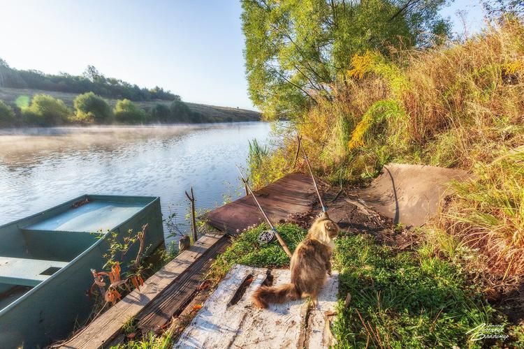 В Урале Русь отражена (промо)