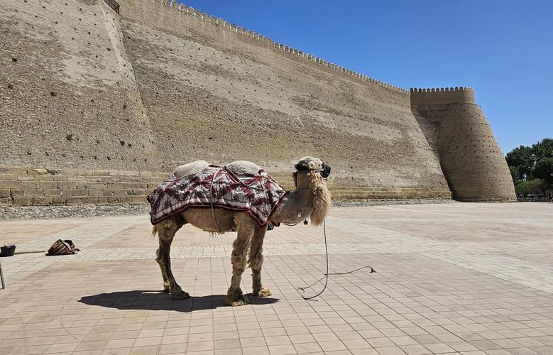 Огни Самарканда, танцы фей и старинные легенды