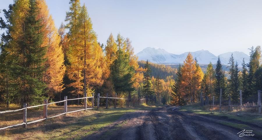 Путешествие на Алтай и Телецкое озеро (промо)