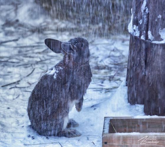 Автобус| Новогоднее путешествие в Рязань и Коломну