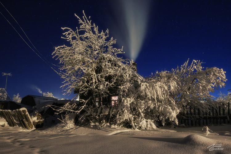 Автобус | Рязань встречает Новый год: жар, традиции и гостеприимство 2026