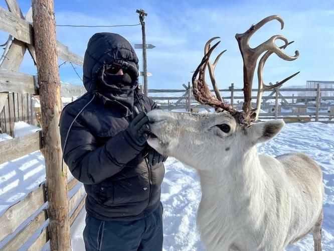 Новогоднее чудо на Кольском полуострове