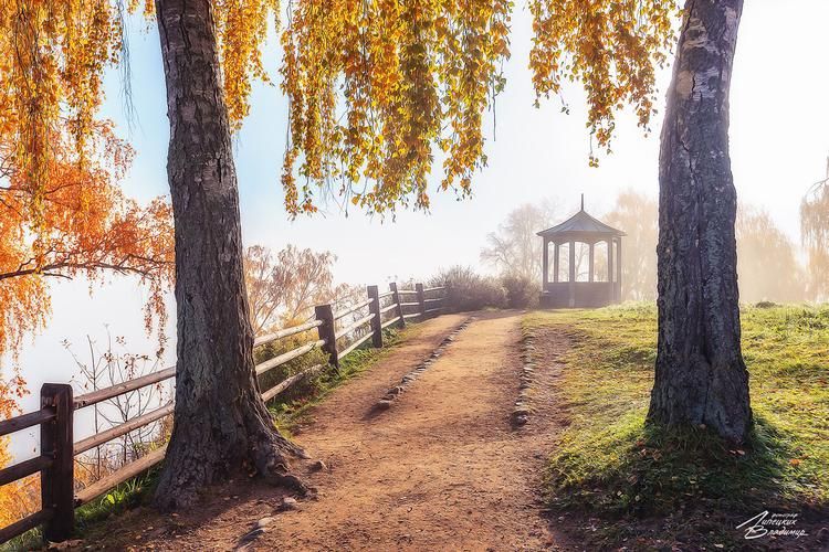 На гребне волны