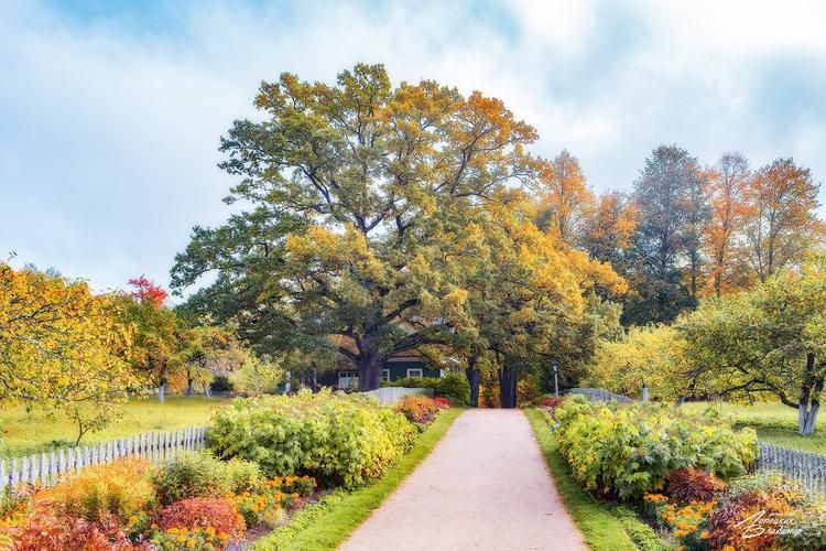Жемчужина Караканского бора