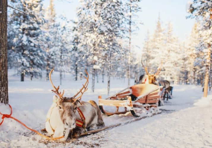 Новогодний вальс Карелии