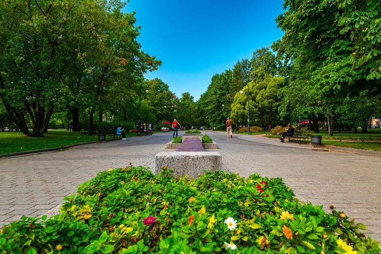 Петербург — вдохновение в каждом закате