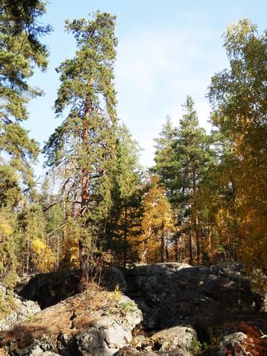 Самарская Лука: тур в мир были и дали