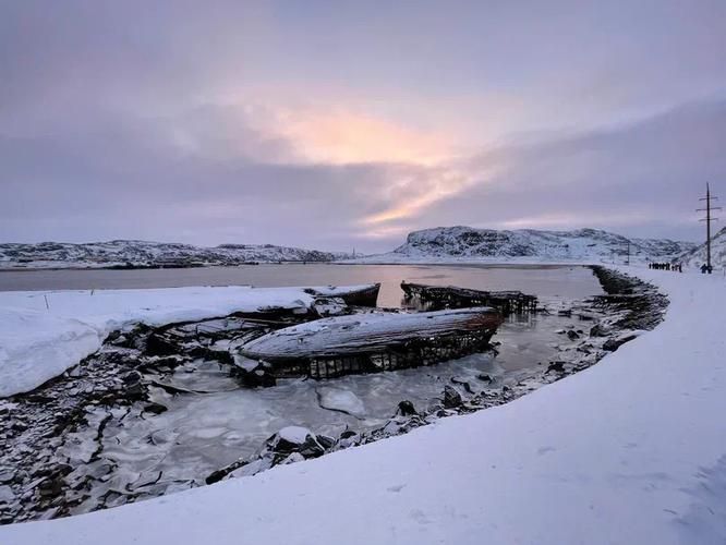 Китовое сафари в Териберке