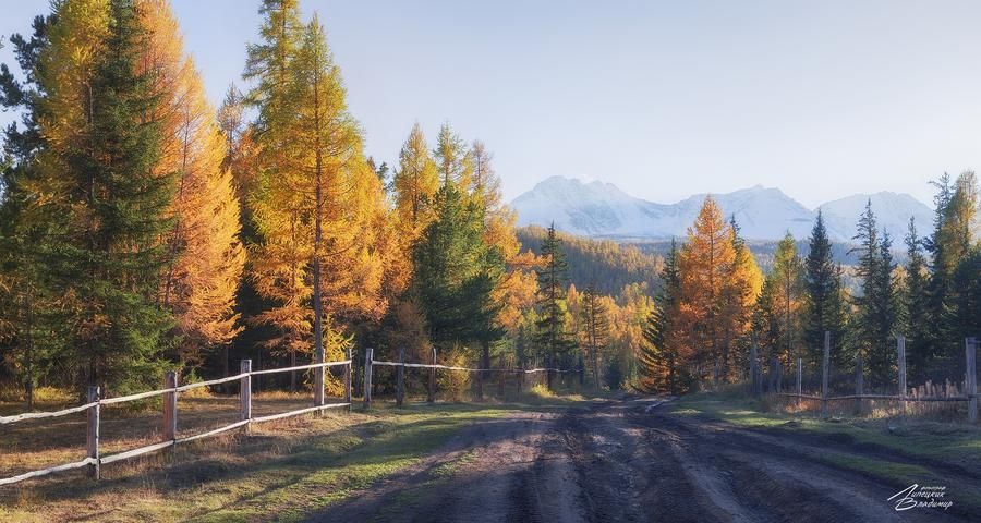 В гости к Пушкину и Лермонтову (промо)