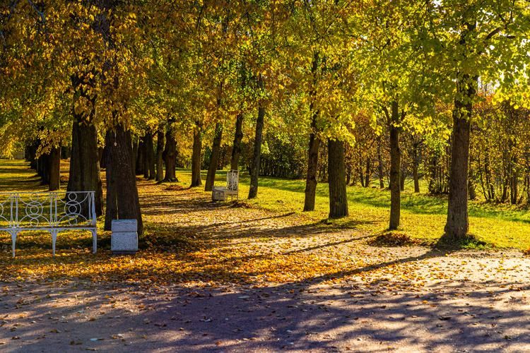 Автобус| Водный отдых в Лимпопо: горки, бассейны и спа
