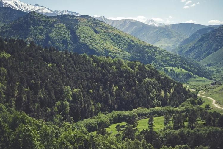 Экспресс тур в Узбекистан