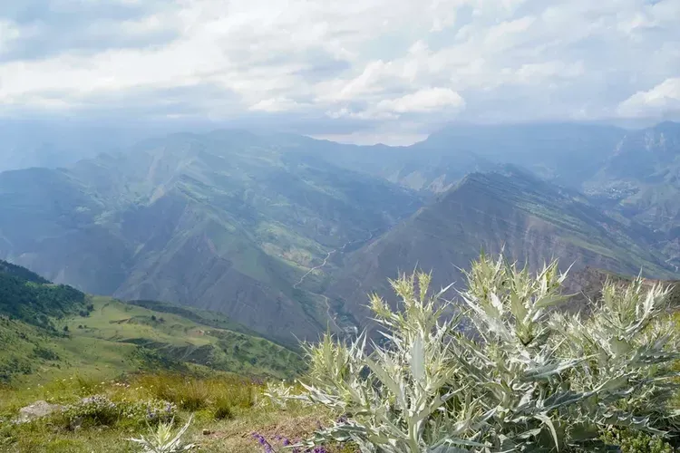 Автобус | Дагестан: где горы поют, а море слушает из Твери
