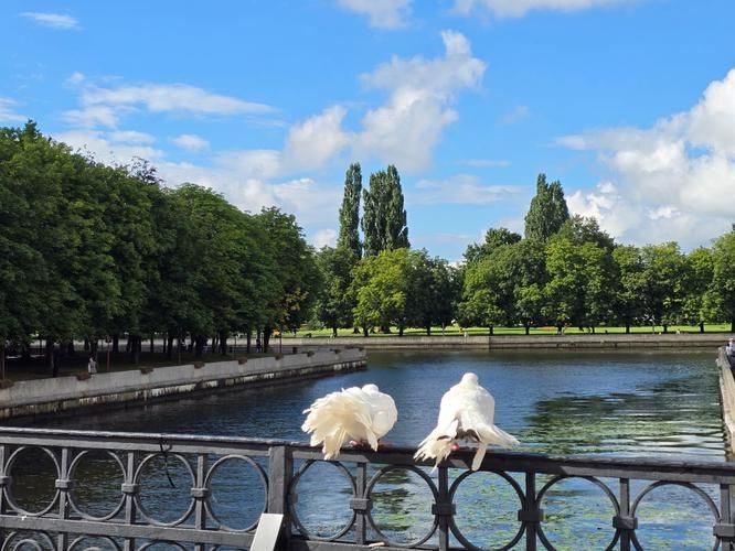 Балтийский Край: Замки, Янтарь и Морская Свобода