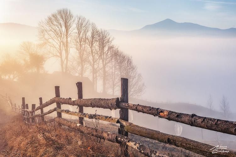Алтай: от Катуни до Марса — путь сквозь природу
