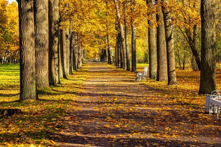 Пермский край со вкусом 3 дня