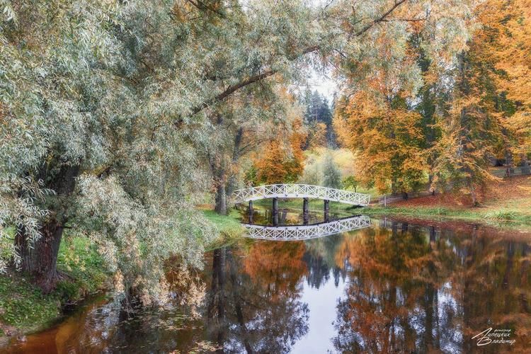 Классика, вдохновлённая Псковом
