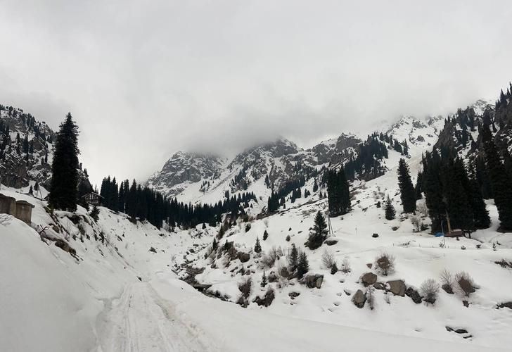 Автобус| Новогодний Кавказ: в гостях у природы, истории и гостеприимства из Пензы