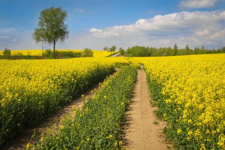 Велотур по Калининградской области - Новые маршруты 4 дня