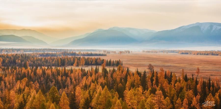 Джип‑рейд по дикому Алтаю