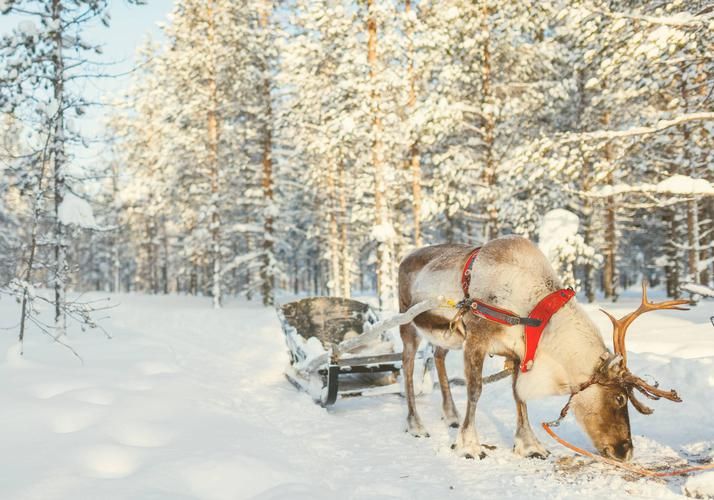 Карелия — как жемчужина в снежной короне