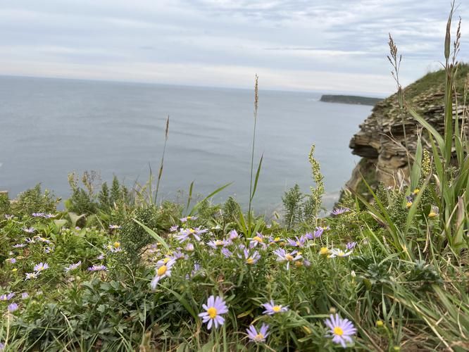 Вперед к Владивостоку: открывая новые горизонты