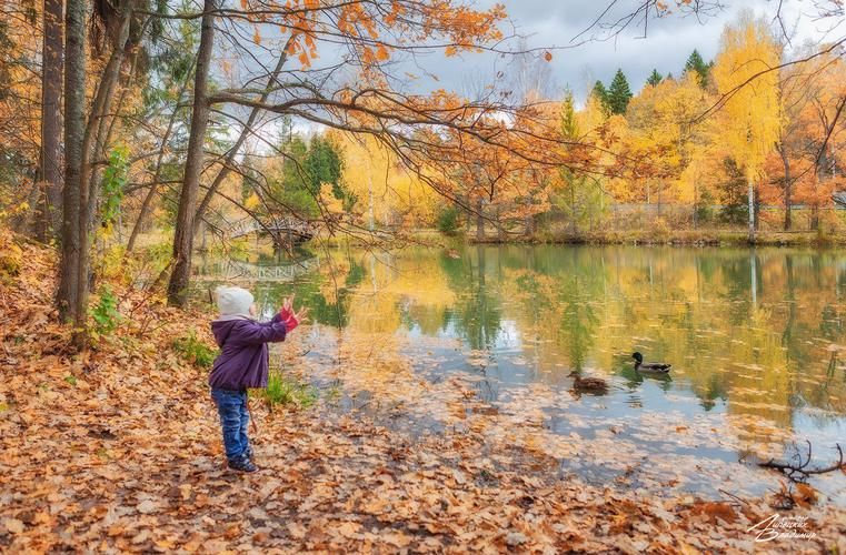 Автобус| Эрзя: земля, где живёт душа