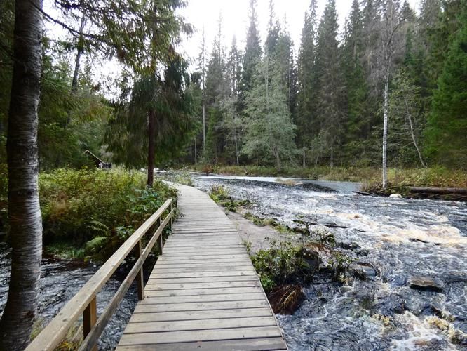 Автобус| Чары карельской земли