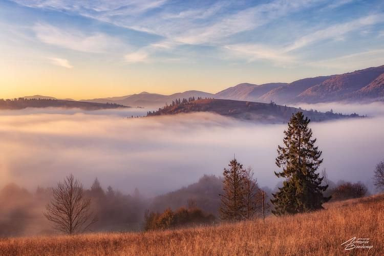 Алтай: от Катуни до Марса — путь сквозь природу