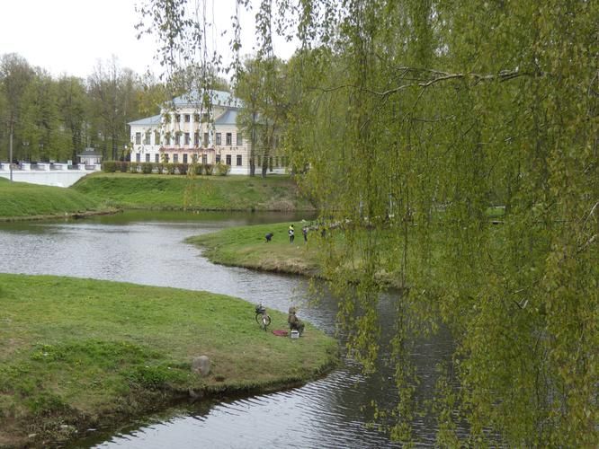 Автобус| Летние берега Волги: дыхание русской провинции